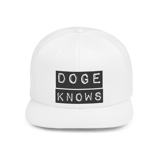 DOGE KNOWS Flat Bill Snapback, Political, Elon, Hat